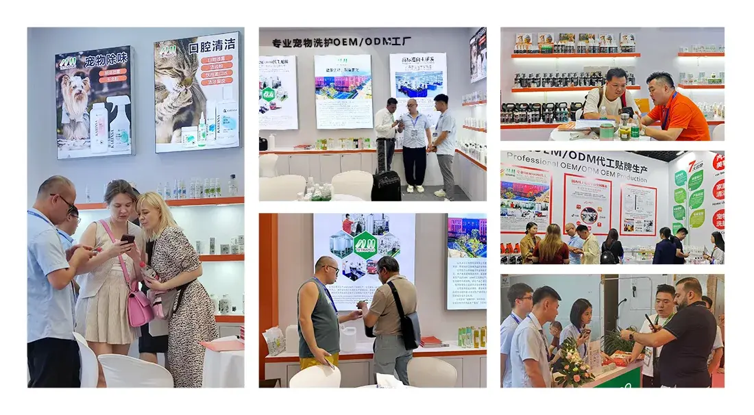 Exhibition Exhibition