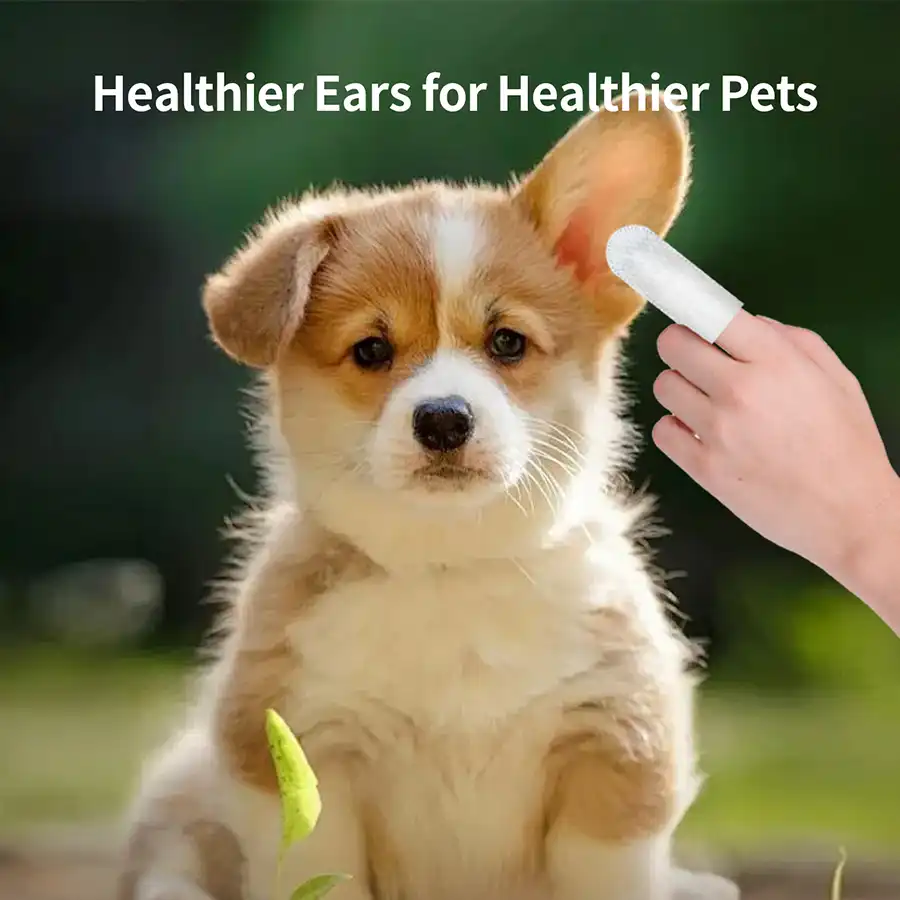 Disposable Pet Ear Wipes