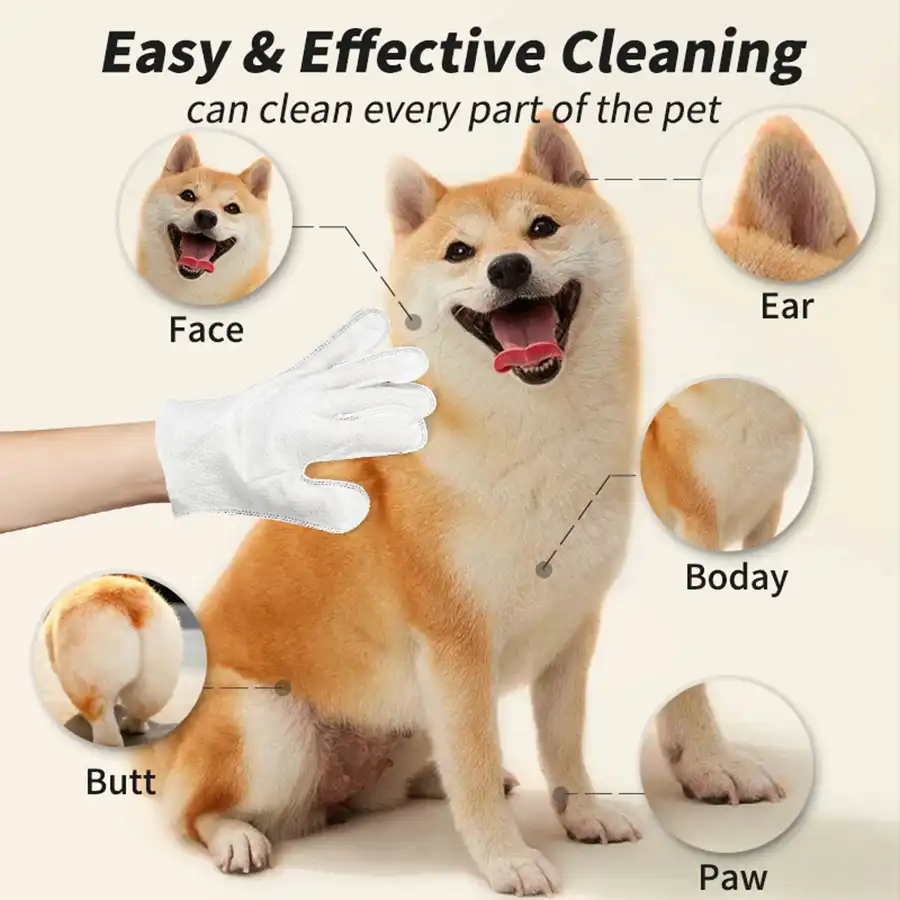 Pet Disposable Wipes