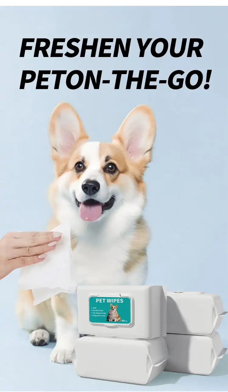 Disposable Pet Wipes
