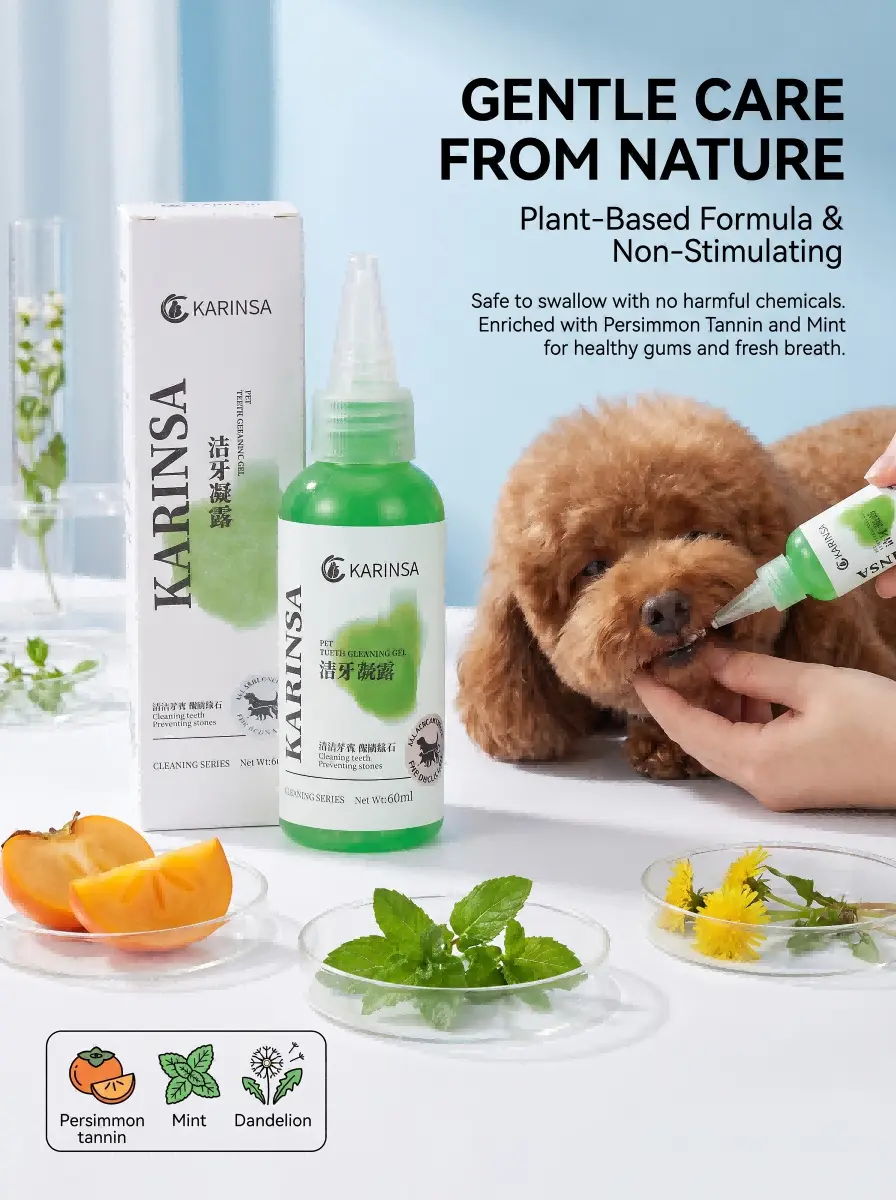 Dog Cat Teeth Cleaning Gel ODM