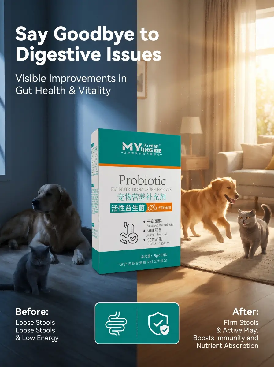 Pet probiotics ODM