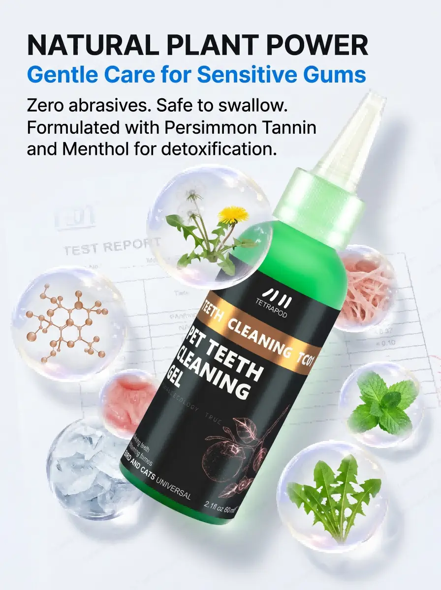 No-Brush Teeth Cleaning Gel No-Brush Teeth Cleaning Gel