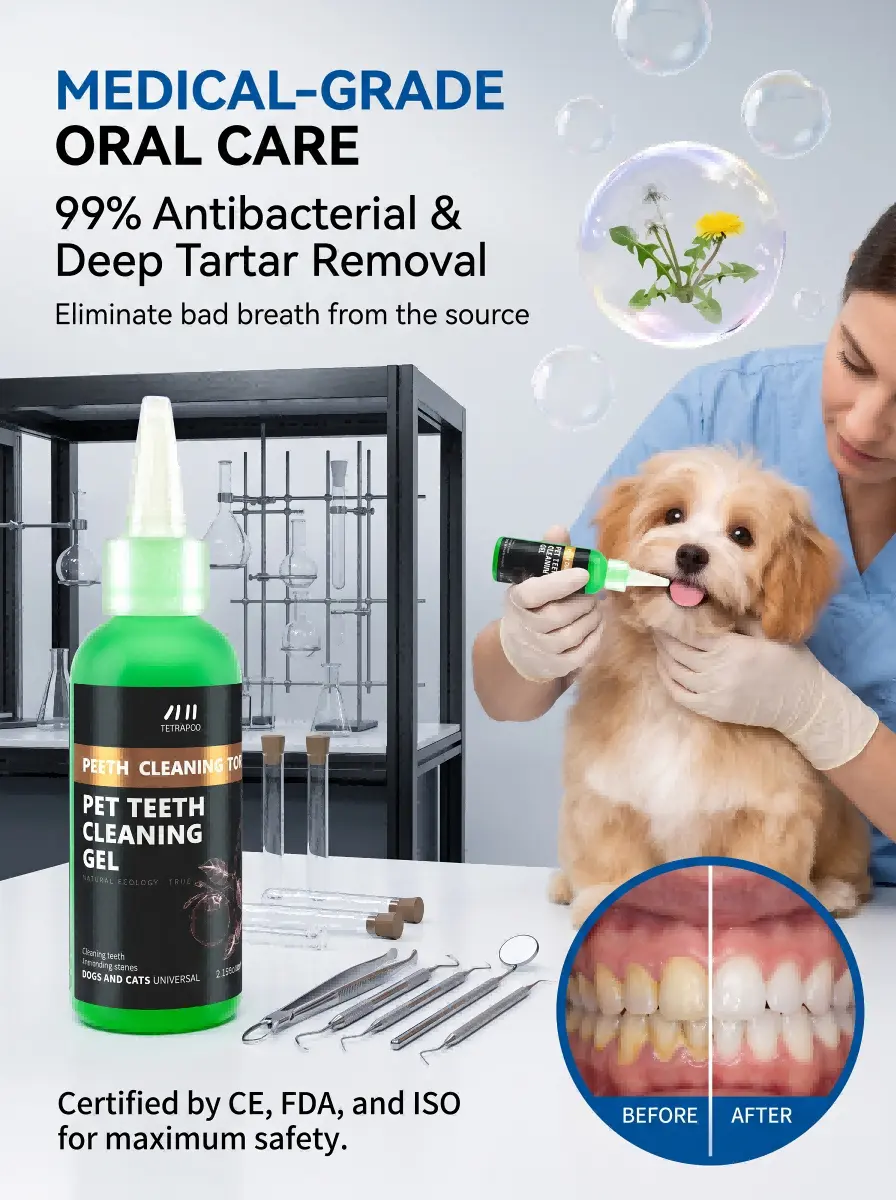 No-Brush Teeth Cleaning Gel