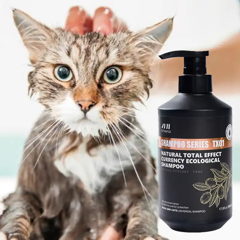 Olive Oil Shampoo for Pets