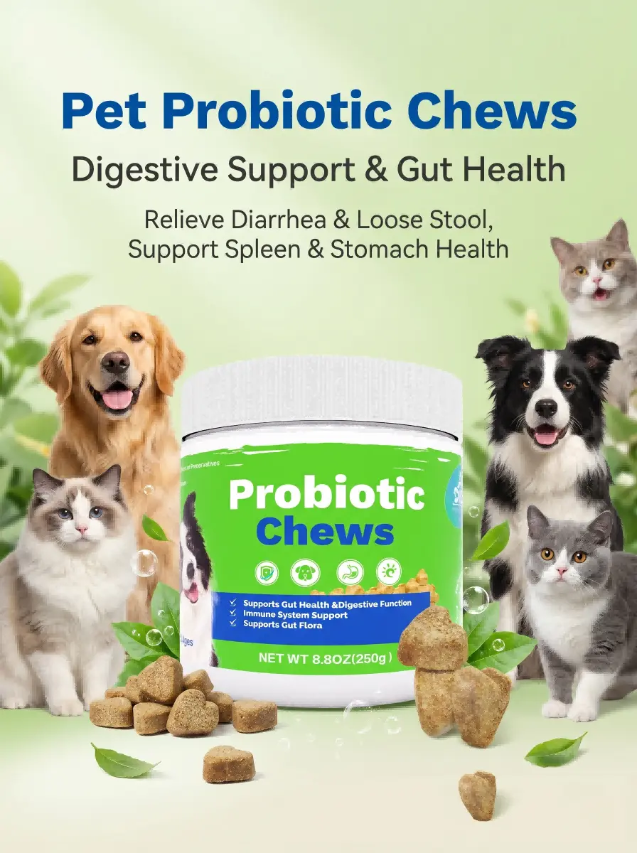 Pet Probiotic Chewable Tablets - Professional Intestinal Care Solution