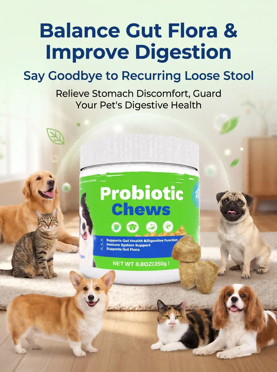 Pet Probiotic Chewable Tablets - Professional Intestinal Care Solution Pet Probiotic Chewable Tablets - Professional Intestinal Care Solution