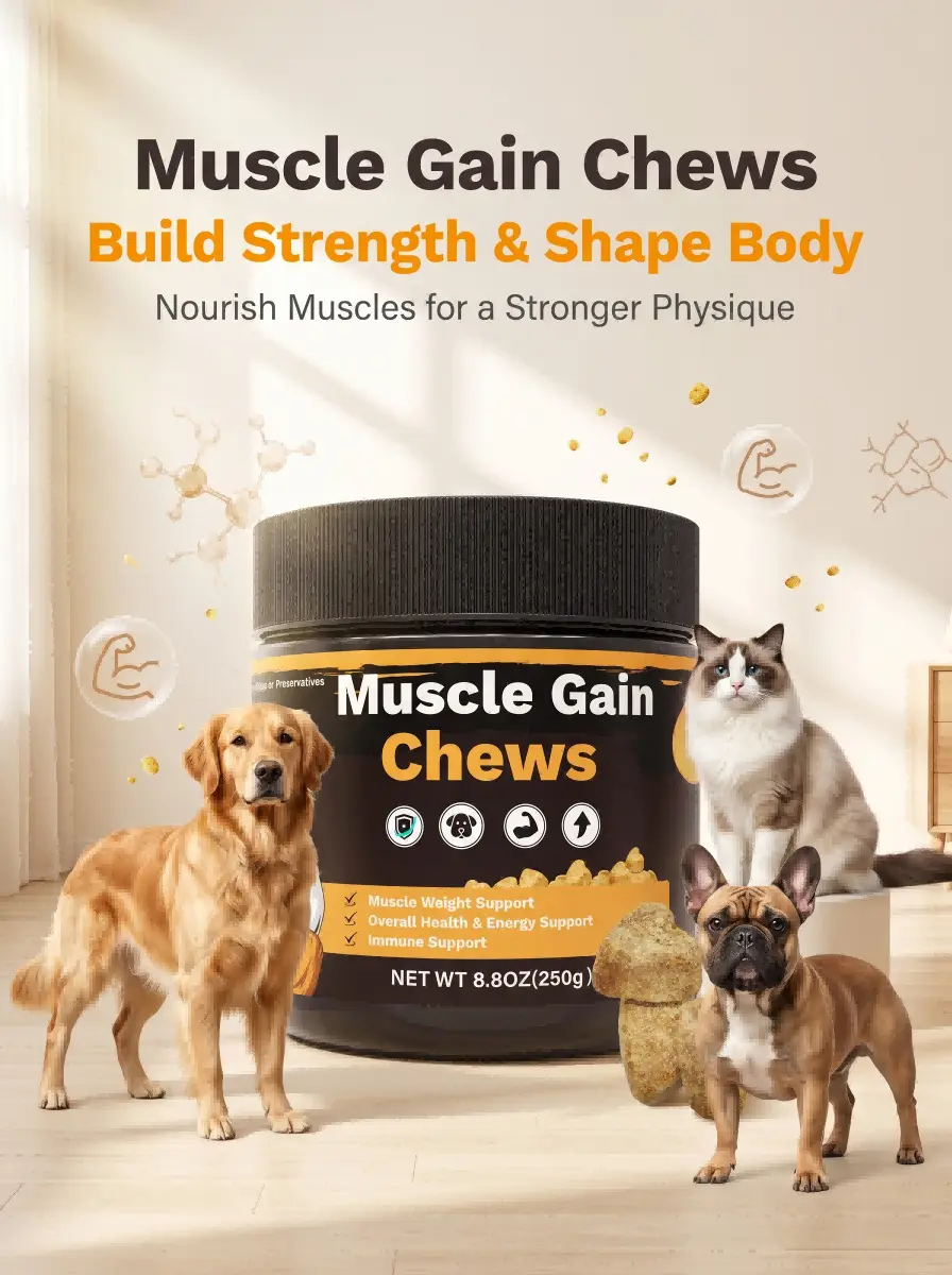 Muscle Health Chewable Tablets for Dogs — Specially Formulated for Dogs in Recovery Muscle Health Chewable Tablets for Dogs — Specially Formulated for Dogs in Recovery