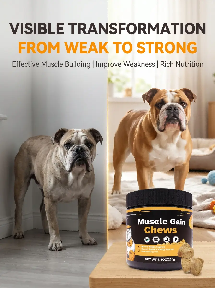Muscle Health Chewable Tablets for Dogs — Specially Formulated for Dogs in Recovery