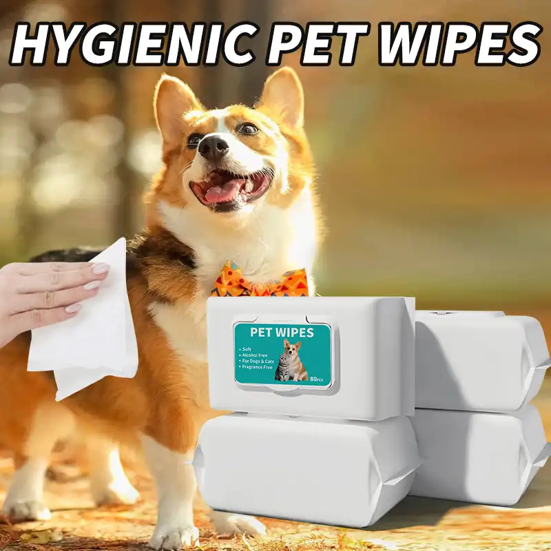 Best Disposable Pet Wipes for Sensitive Pet Skin Care
