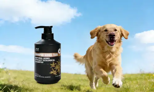 Rapid Growth in Pet Grooming Products Market Driven by Innovation