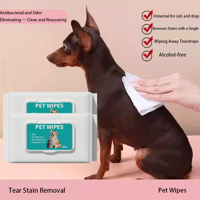 Disposable Pet Wipes