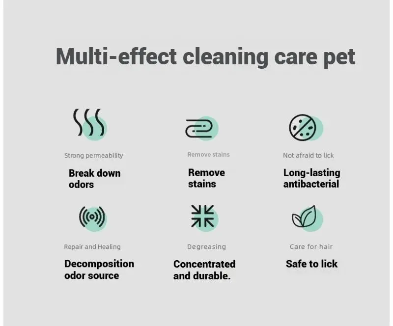 Stain and odor remover