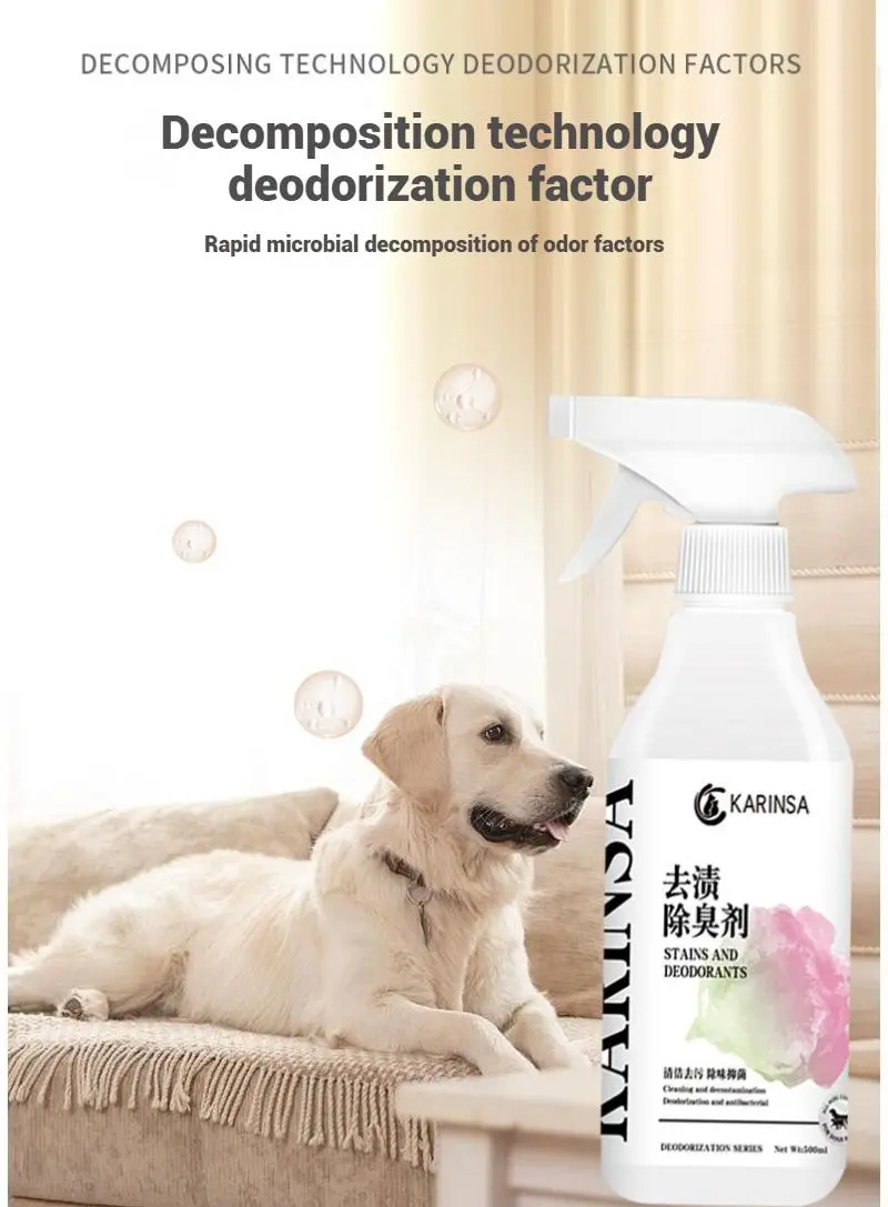 Stain and odor remover