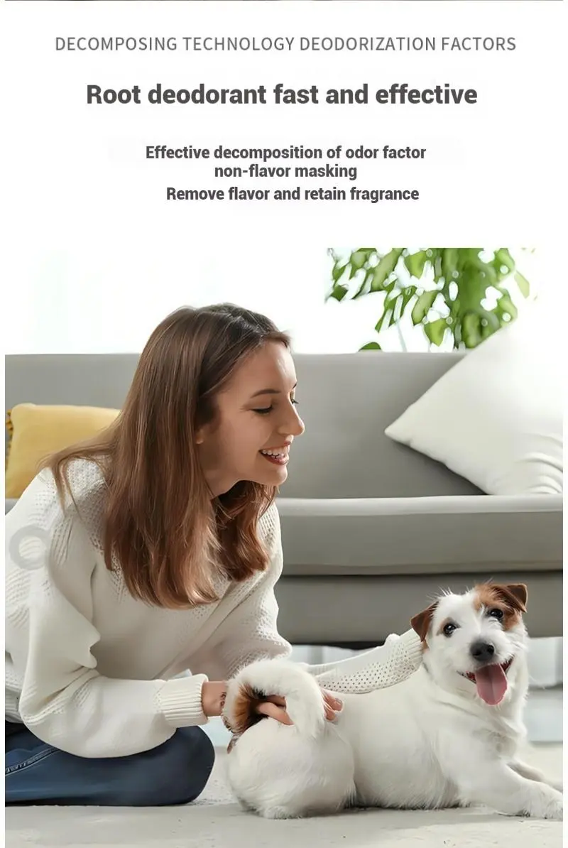 Stain and odor remover