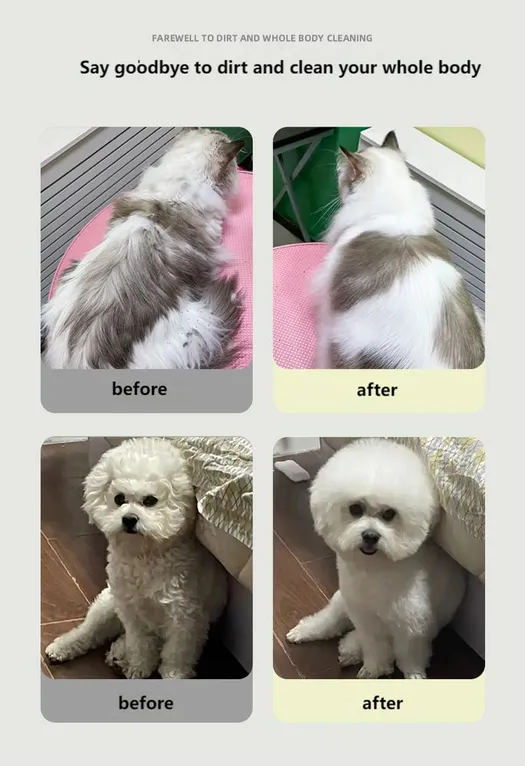 Pet Dry Cleaning Powder Fluffy Plant Gentle Formula (7)