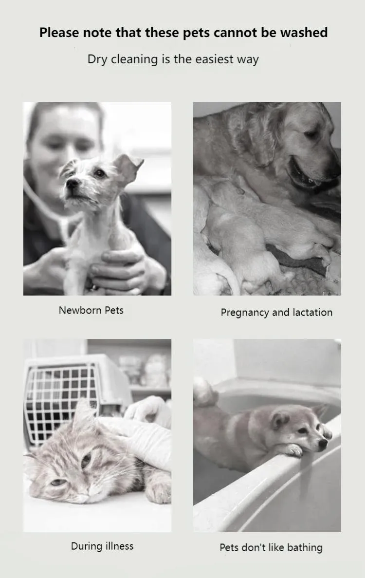 Pet Dry Cleaning Powder Insect and Mite Removal detail (3)