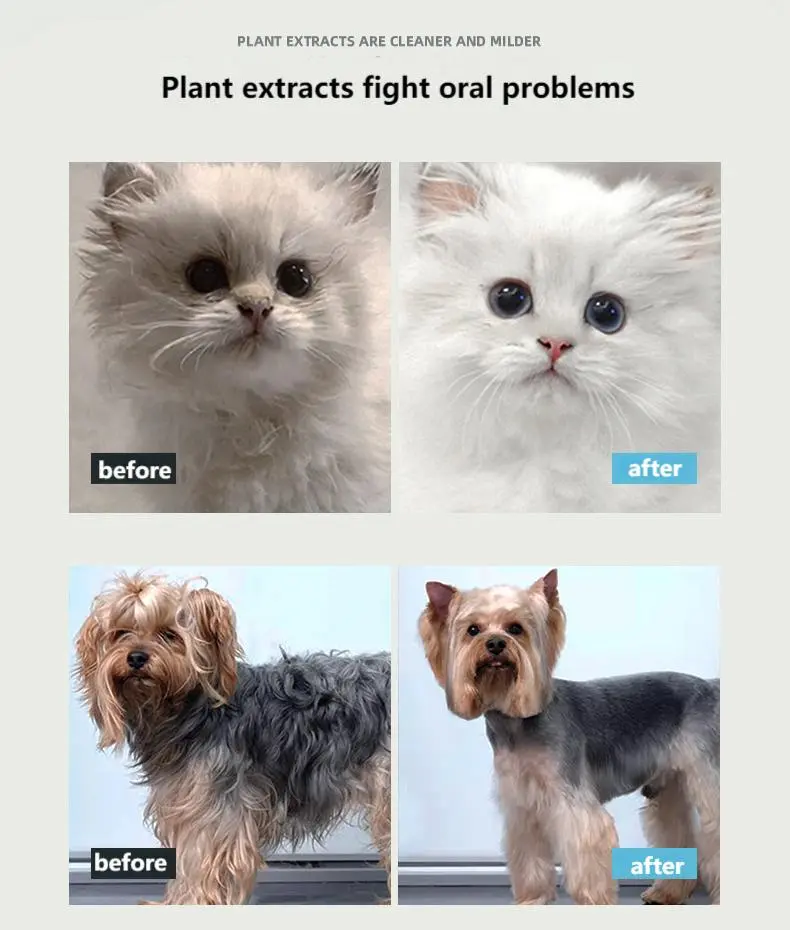Pet dry cleaning bubble mite removal and antibacterial