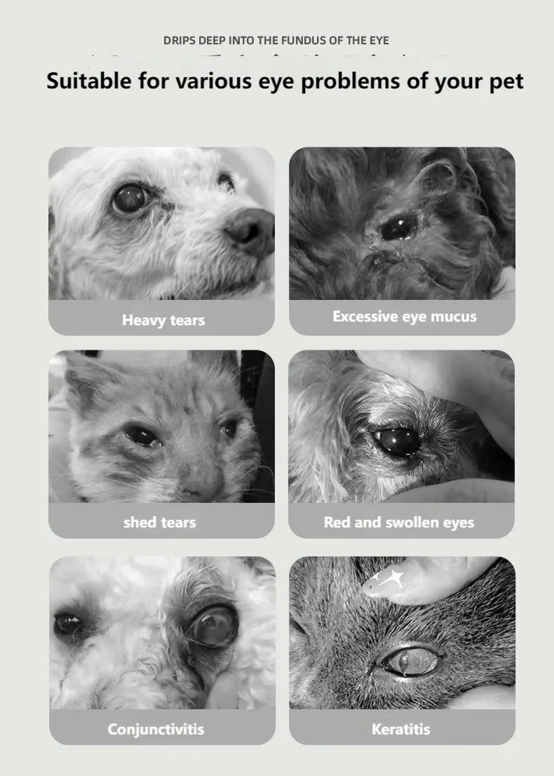 Pet eye cleanser