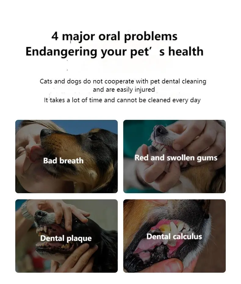 Pet tooth cleaning powder sticks