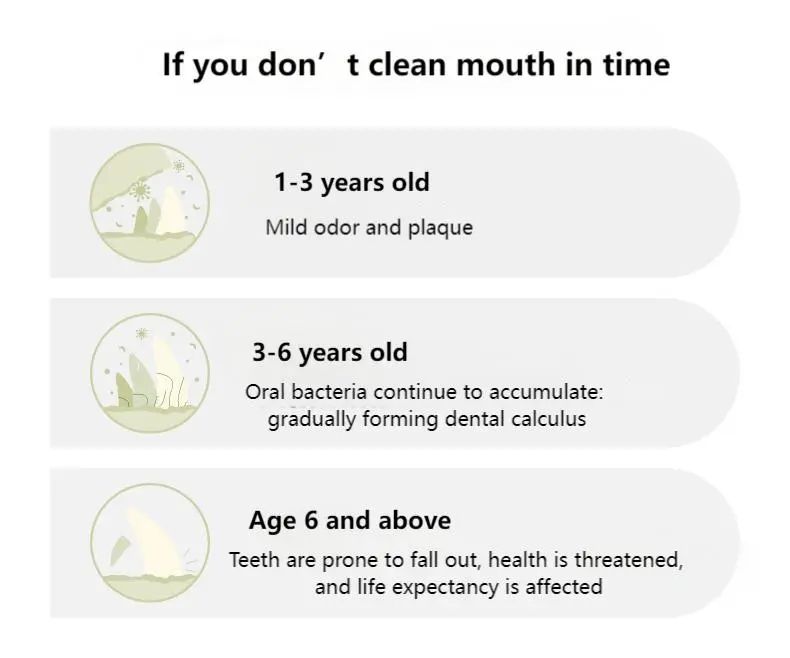 Pet tooth cleaning powder sticks