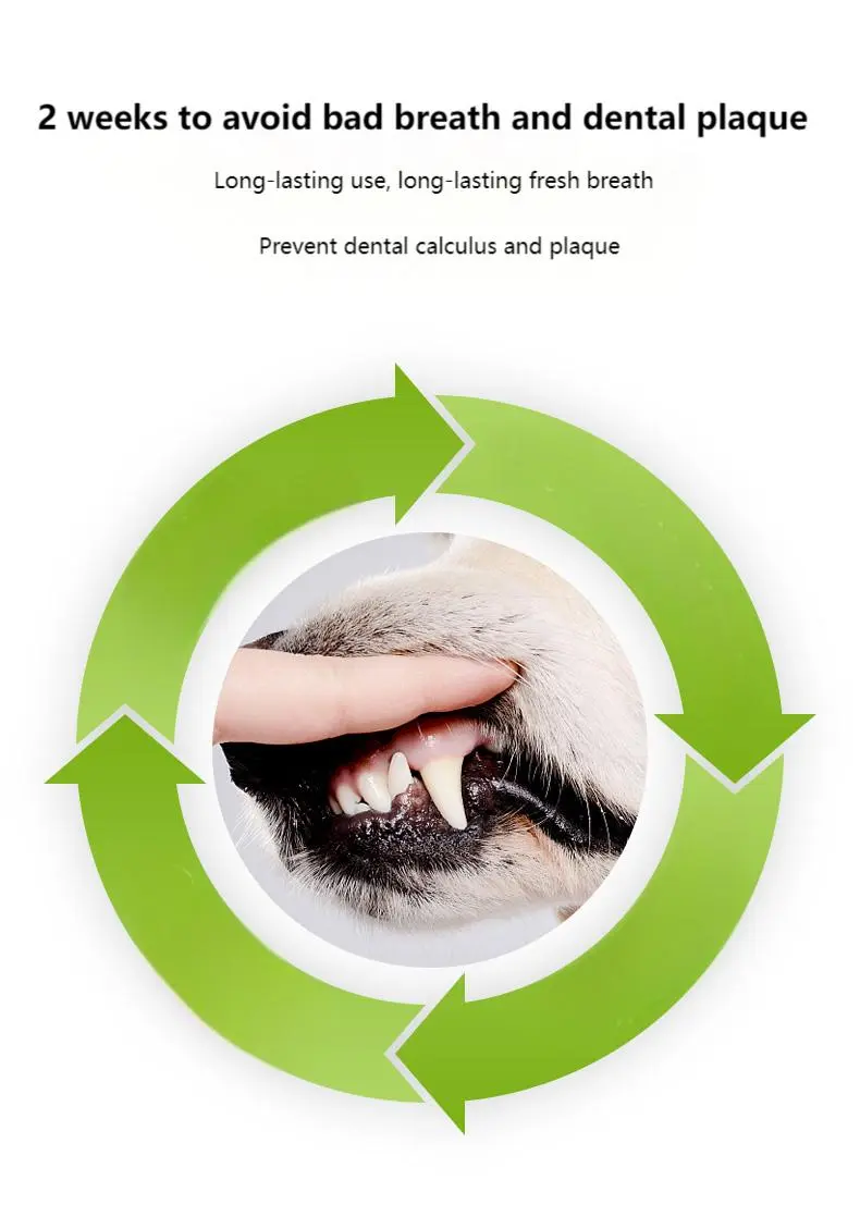 Pet tooth cleaning powder sticks