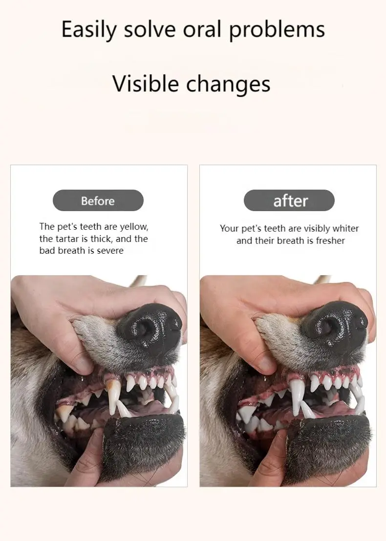 Pet tooth cleaning powder sticks