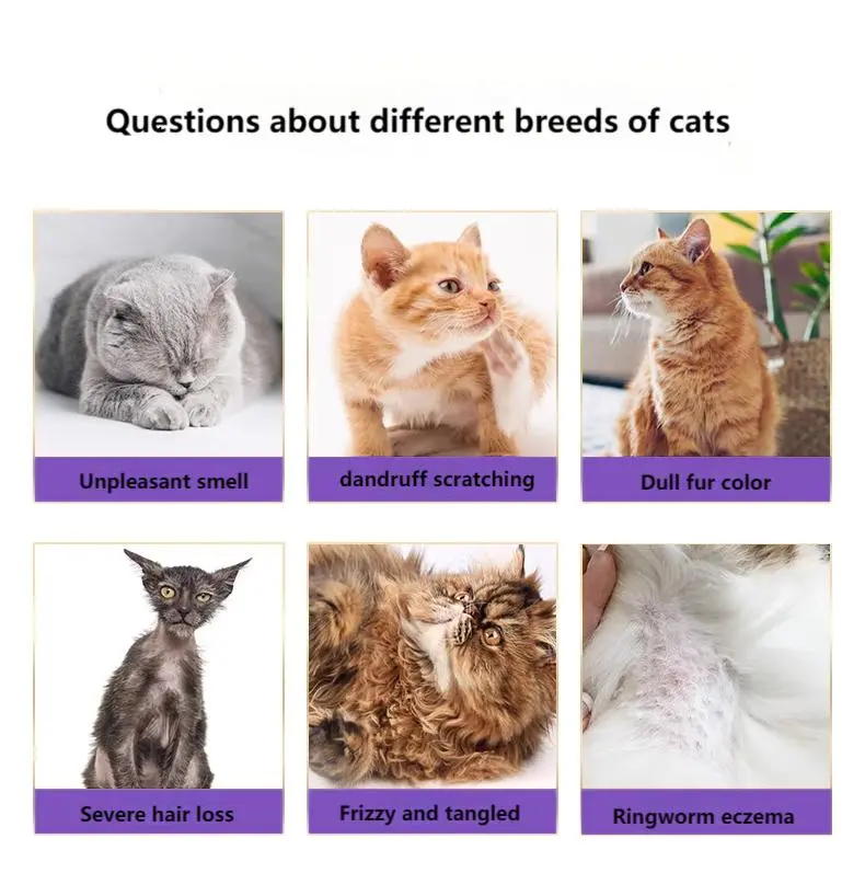 Cat shampoo