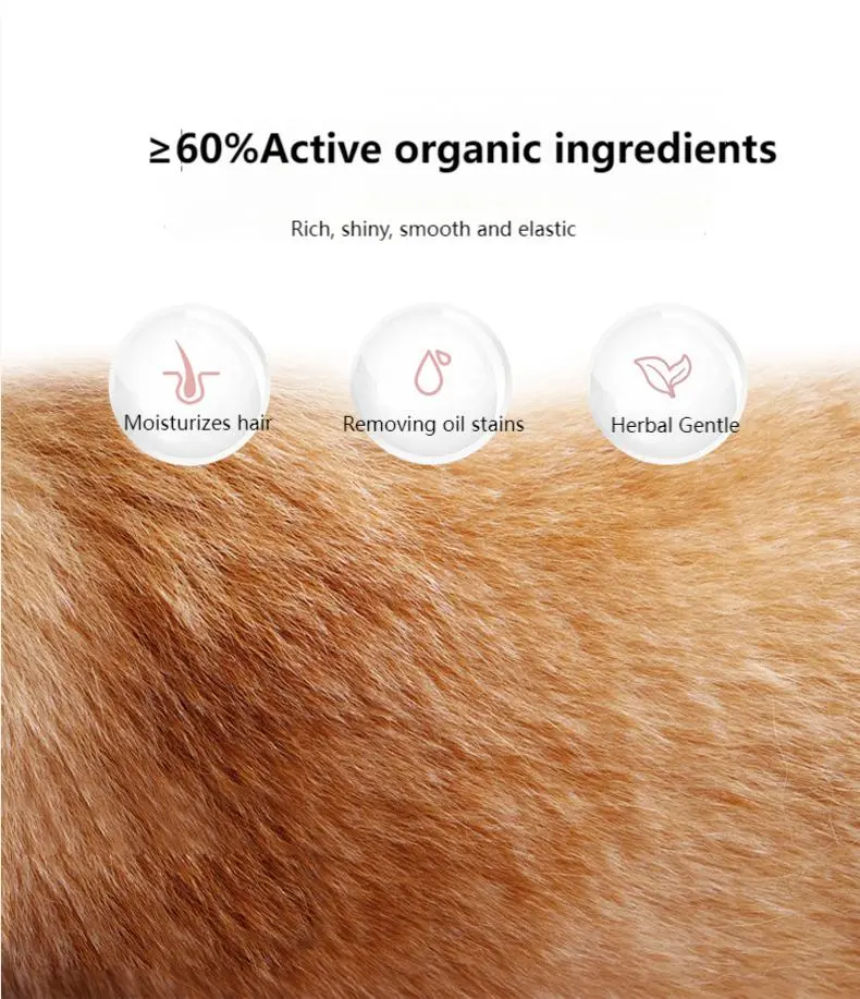 Cat shampoo