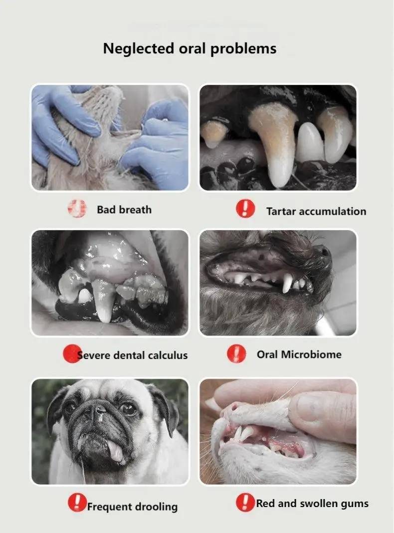 Pet Teeth Cleaning Gel
