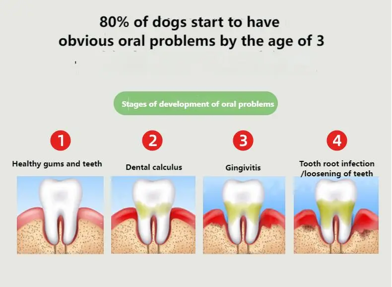 Pet Teeth Cleaning Gel