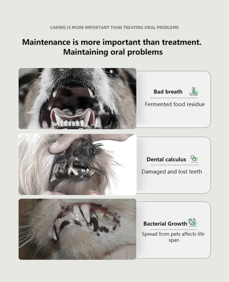 Tooth cleaning powder filling