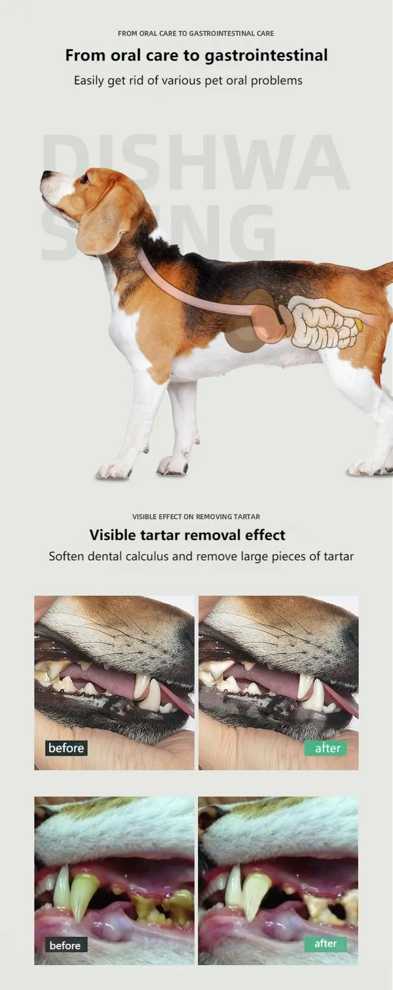 Tooth cleaning powder filling