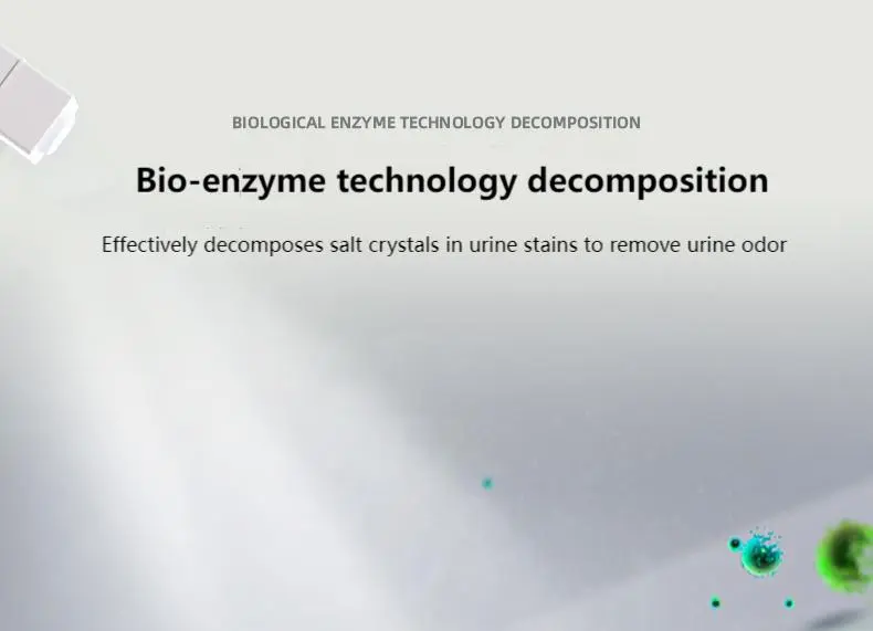 Bio-enzyme deodorant