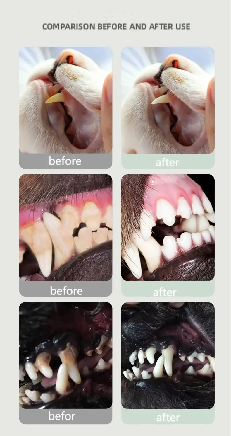 Pet Teeth Cleaning Gel